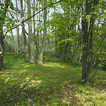 Beniaskie! In West Masuria Дом отдыха *