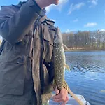 Beniaskie! In West Masuria Milakowo